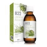 B22 Jarabe de Alcachofa 200 ml