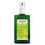 Desodorante spray de Citrus 100 ml