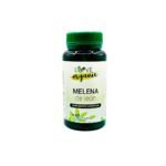 Melena de León 60 cáps.