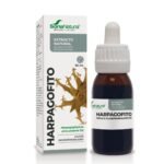 Harpagofito Extracto 50 ML